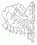 coloriages de arbres
