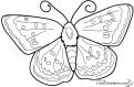 coloriage papillion 33