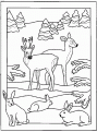 coloriage cerf 03