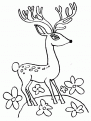 coloriage cerf 02