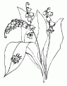 coloriage muguet 18