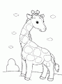coloriage girafe 13