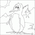 coloriage-pingouin-05
