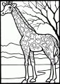 coloriage girafe 22