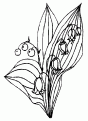 coloriage muguet 14