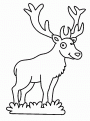 coloriage cerf 04