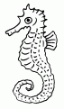 coloriage hippocampe 03