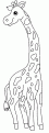 coloriage girafe 10