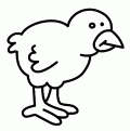 coloriage poussin 24