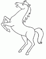 coloriage cheval 41
