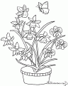 coloriage orchidee 08