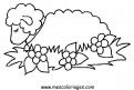 coloriage mouton 46