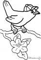 coloriage oiseau 34