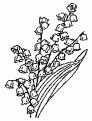 coloriage muguet 04