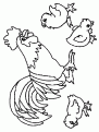 coloriage coq 10