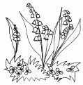 coloriage muguet 21