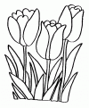 coloriage tulipe 26