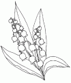 coloriage muguet 22