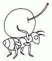 coloriage cerise 03