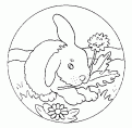 coloriage lapin 19