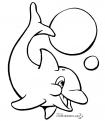 coloriage dauphin 37