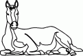 coloriage cheval 53