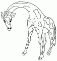coloriage girafe 05