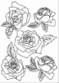 coloriage rose 12