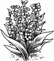 coloriage muguet 26