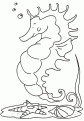 coloriage hippocampe 26