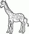 coloriage girafe 24
