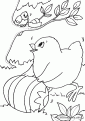 coloriage-poule-paques-135