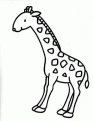 coloriage girafe 17