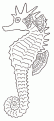 coloriage hippocampe 22