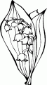 coloriage muguet 20