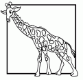 coloriage girafe 25