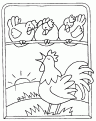 coloriage coq 13