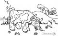 coloriage-vache-14