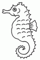 coloriage hippocampe 20