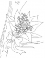coloriages-Bouquet-de-muguet-bonheur