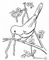 coloriage-oiseaux-01