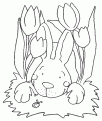 coloriage lapin 40