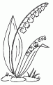 coloriage muguet 01