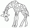 coloriage girafe 07