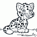 coloriage-bebe-tigre-09