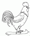 coloriage coq 16