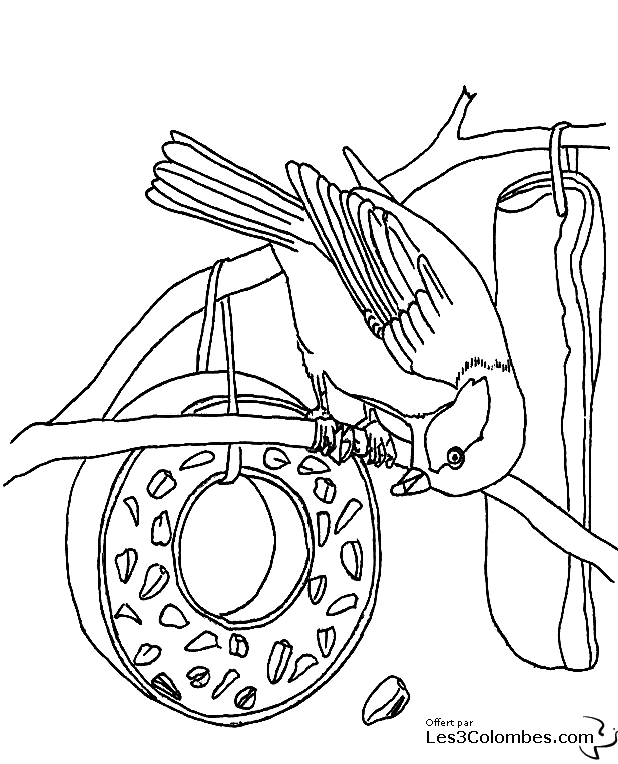 coloriage-oiseaux-12