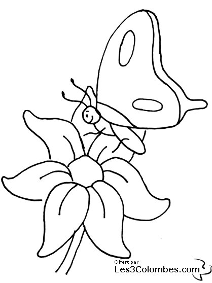 coloriage-papillon-fleur-20