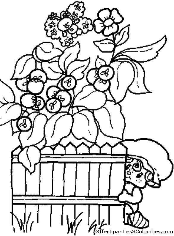 coloriage Charlotte aux fraises 64