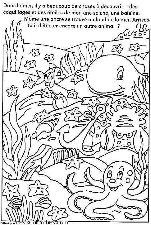 coloriage concentration 31
